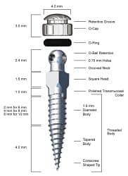 Razavi_Figure 1_opt