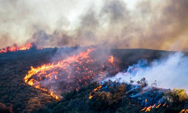 Henry Schein Disaster Relief Hotline Open for Customers Affected by California Fires