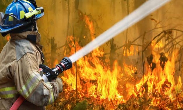 Henry Schein Raising Money for Australia Bushfires Recovery