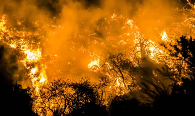 Henry Schein Customer Assistance Hotline Open for Those Affected by the California Wildfires