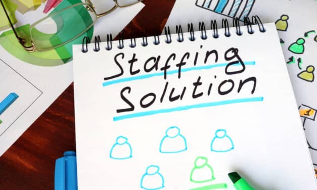 The Staffing Solution