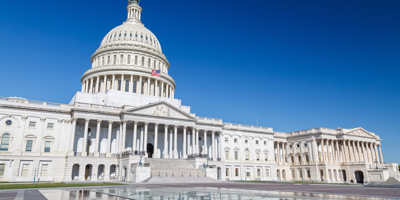 ADA Webinar Focuses on Advocacy in a Partisan Country