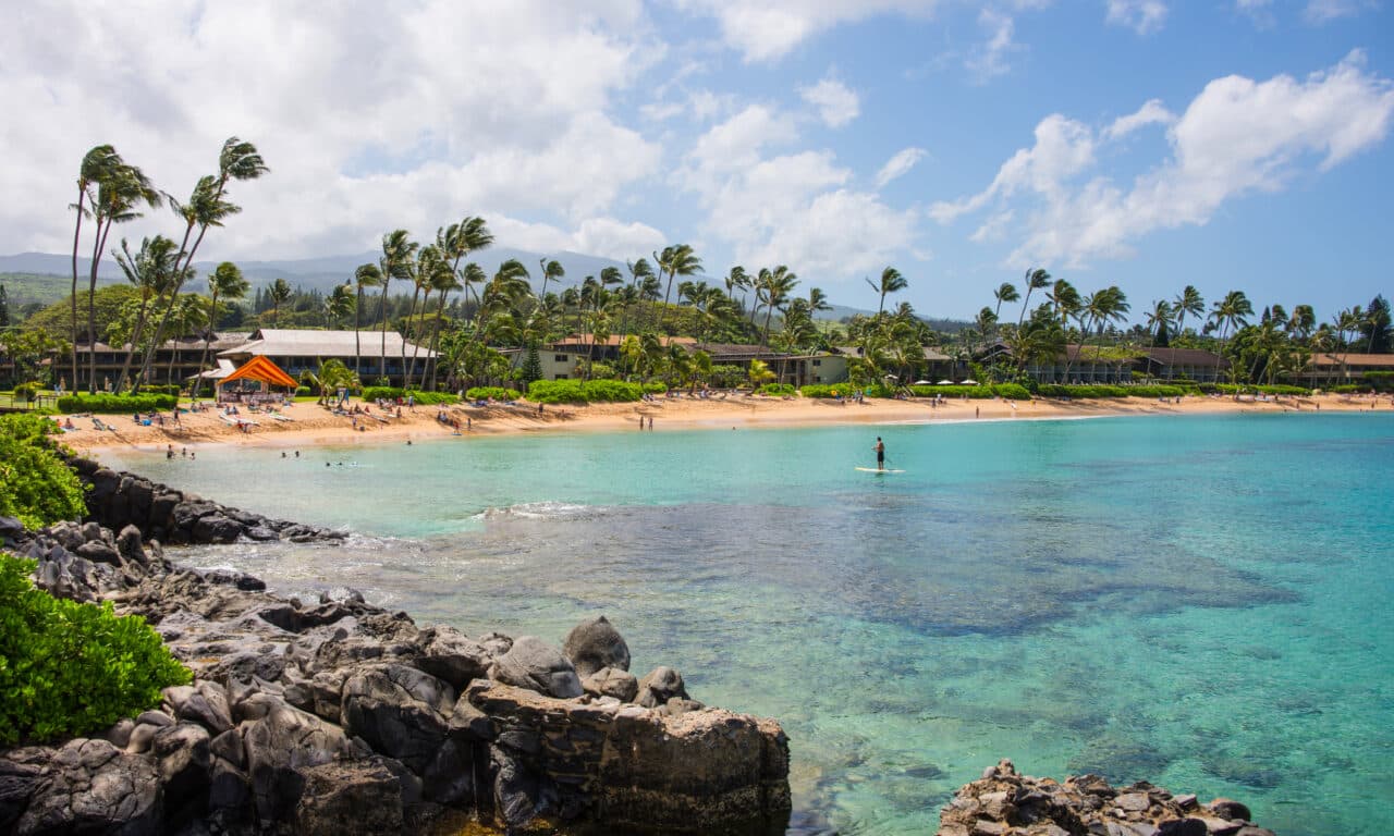 Henry Schein Offers Assistance to Hawaii Wildfire Victims