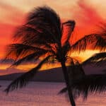 Hawaii Dental Association Foundation Creates Disaster Relief Fund