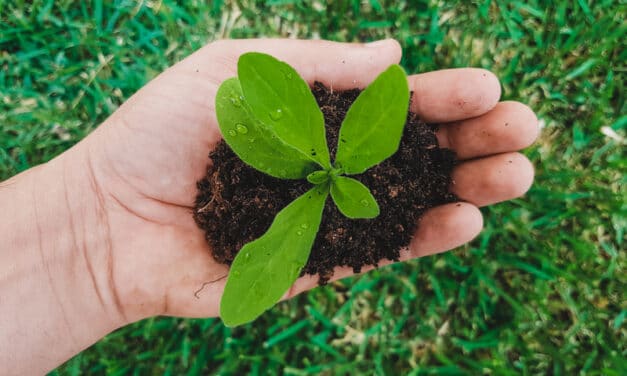 Dentsply Sirona Promotes Sustainability on World Environment Day