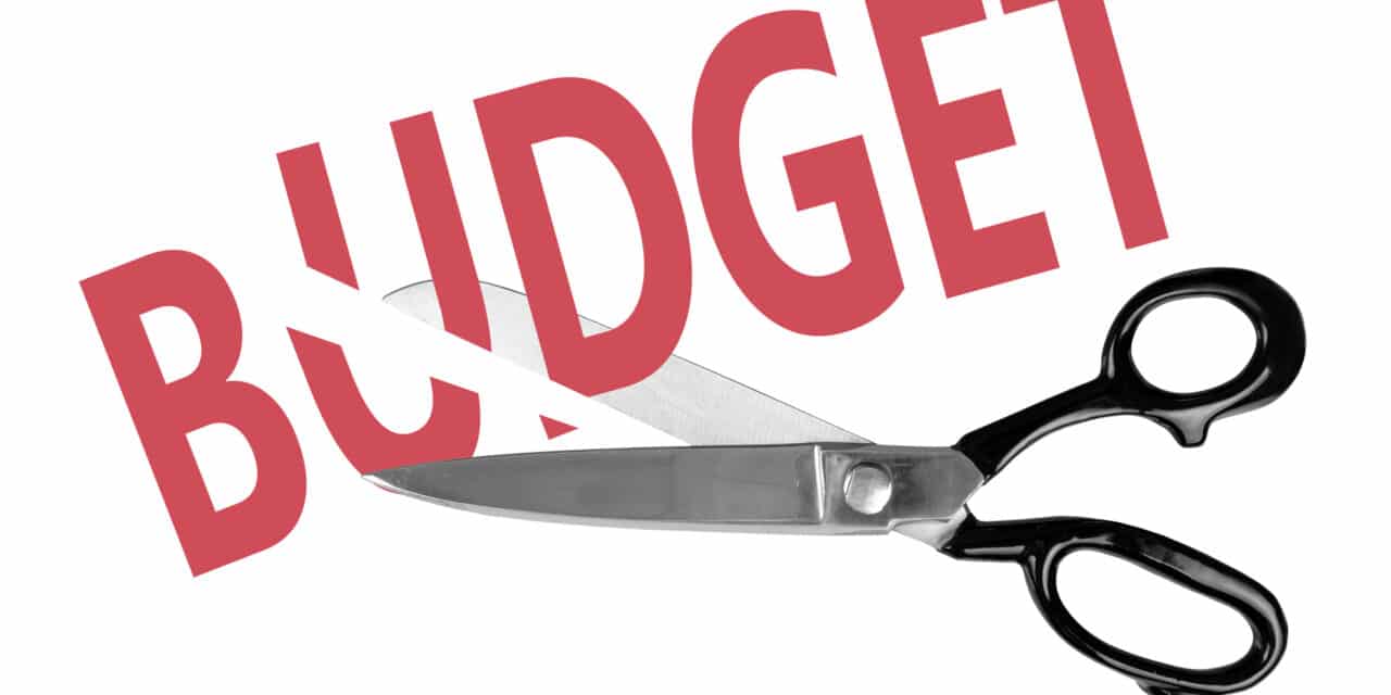 ADA Board Approves $20 Million 2025 Budget Cut to Address Financial Strain